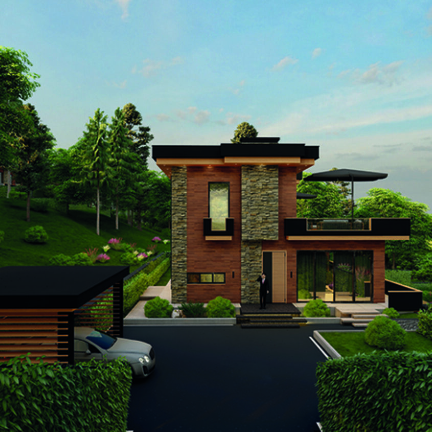 The Best Version of Life